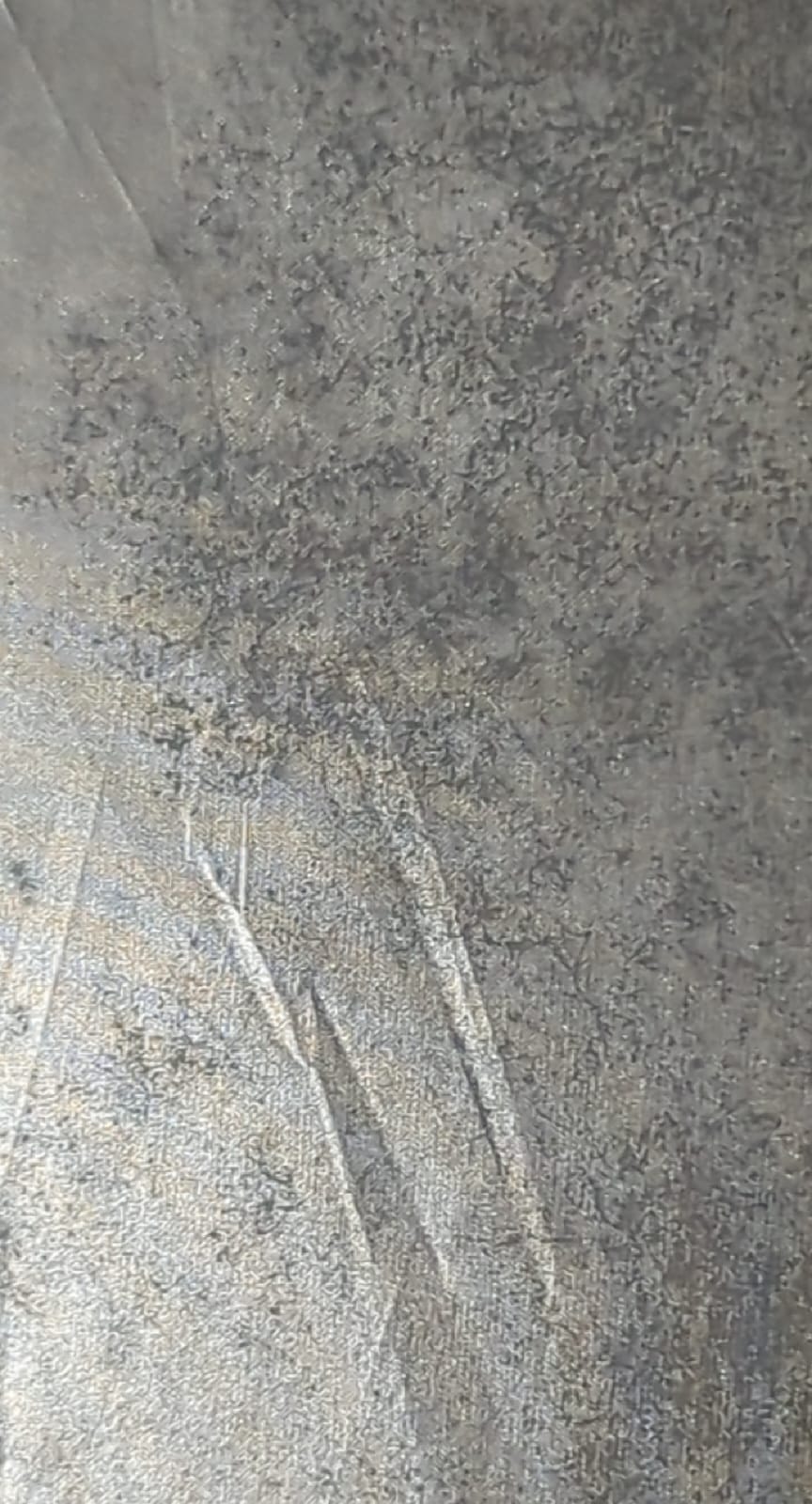 Metallic Finished Fabric